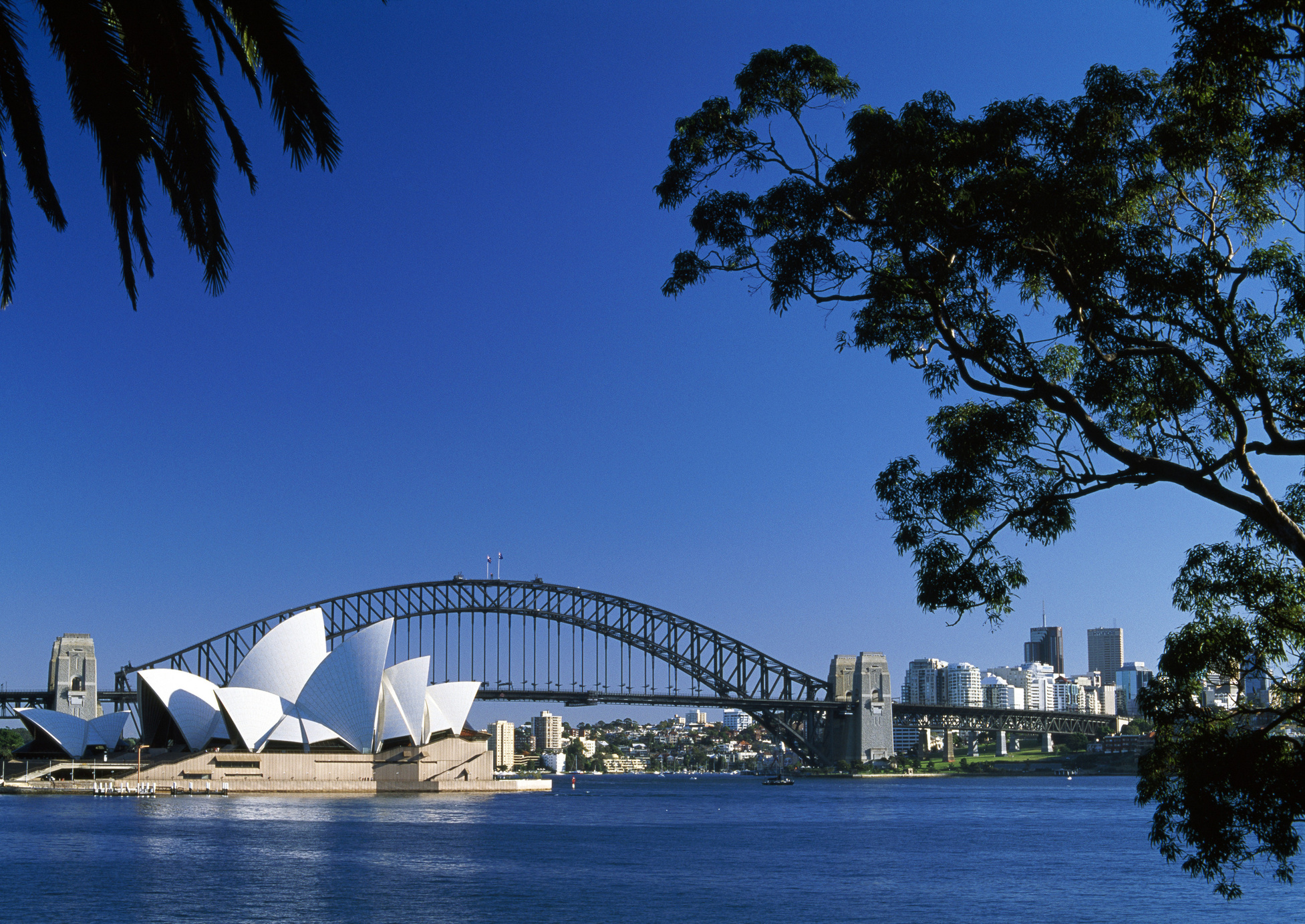 Opera House & Harbour Bridge